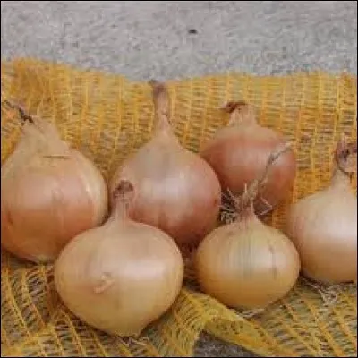 Les vertus thérapeutiques des oignons sont parfois méconnues. Ils sont pourtant bons pour la circulation sanguine, et anti-diabète. Si malgré vos critiques sur son jardinage, les oignons de votre voisin ont pourri, c'est qu'il a fait l'erreur de les arroser, mais suivez mon conseil :