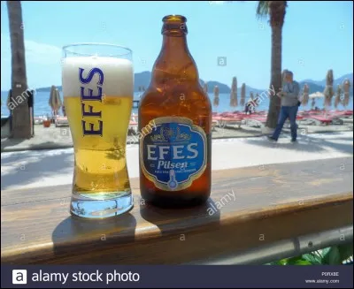 De quel pays la bière Efes Pilsen est-elle originaire ?