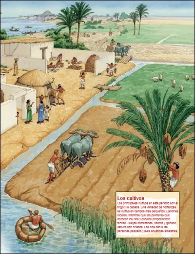 Quel nouveau mode de vie a conduit à l'invention de l'écriture ?