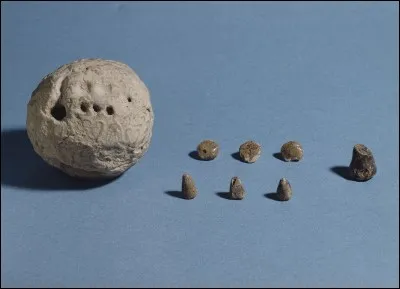 Qu'est-ce qu'un calculi ?