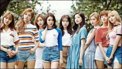 Quel est le nom du fandom? (les fans)