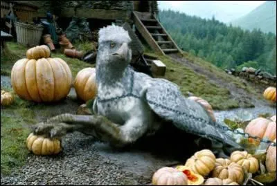 De quoi Drago Malefoy insulte-t-il Buck, l'hippogriffe de Hagrid, au premier cours de soin aux cratures magiques ?