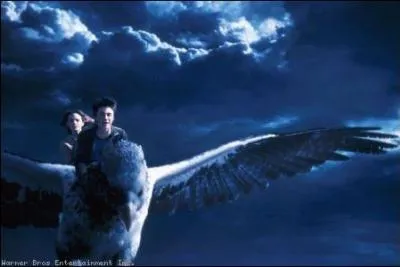 Quel est le nom du bourreau dsign pour assassiner Buck ?