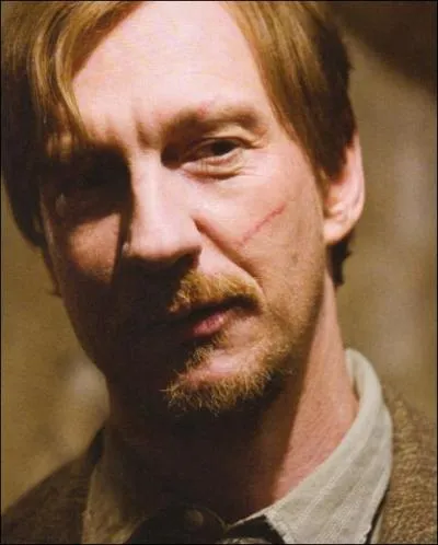 Qui est assis  ct de Harry, Ron, et Hermione dans un compartiment du Poudlard Express ?