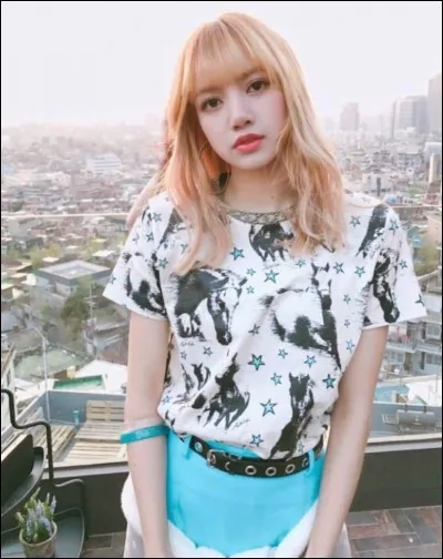 De quel pays Lisa est-elle originaire ?