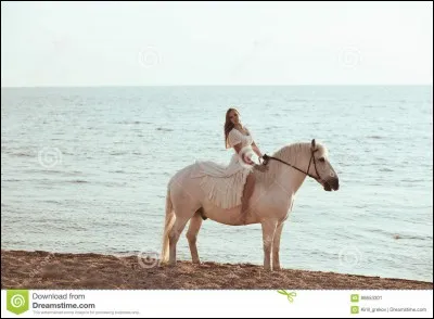 Quelles sont les robes de base ?