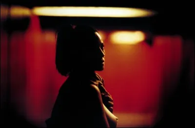 "Irrésistible" est un film français de Gaspard Noé, sur le viol, avec Monica Bellucci...