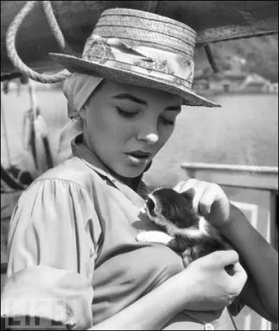 La star anglaise qui a régné plus tard et durant des années dans la série Dynastie s'amuse avec ce charmant petit chaton...