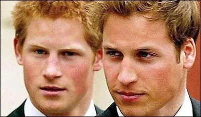 Comment se prnomme le plus jeune fils du prince Charles ?