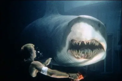 Si je vous dis « Elle donne des ailes », vous répondez :