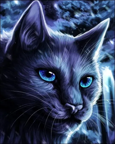 Qui a découvert la prophétie en premier ?