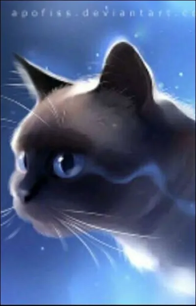 Qui a le pouvoir de tout entendre ?