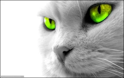 Quand les Trois perdent-ils leurs pouvoirs ?