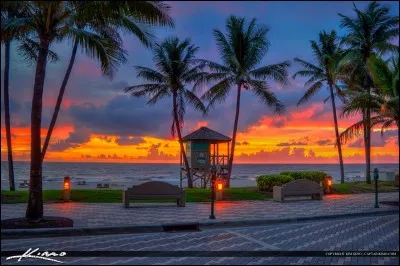 Dans quelle ville est-il mort ?