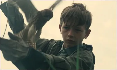 "Kes" est un film poignant, réalisé par le britannique Ken Loach...