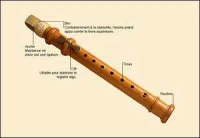 « M » comme « Métiers » > Par ses aptitudes au chalumeau, Vivaldi pourrait être - de nos jours - inscrit comme plombier (n° ROME F1603) à Pôle-Emploi. Vrai ou faux ?