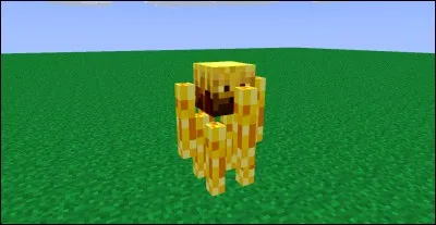 Pour finir le jeu, on doit tuer un Blaze.