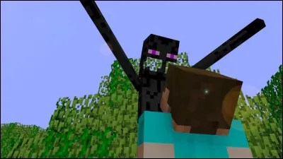Un Enderman ADORE quand on le regarde.
