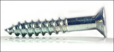 Quel chanteur appelait-on "le pelvis" ?