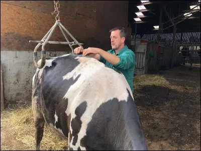 Laquelle, parmi ces "Madame", n'est pas le titre d'un film ?