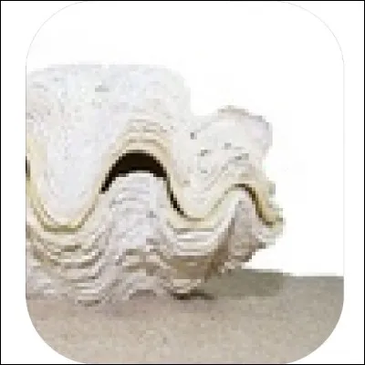 Qu'impose, en 988, Vladimir 1er, prince de Novgorod, à ses sujets ?