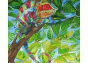 Quiz Jeu des 7 familles (en culture générale) - 35