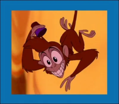 Abu est un petit sapajou agile, espiègle et kleptomane qui apprécie aussi bien les bijoux et autres objets de valeur que les pommes ou le pain. Vêtu d'une petite veste et d'une toque, Abu est un compagnon fidèle pour :