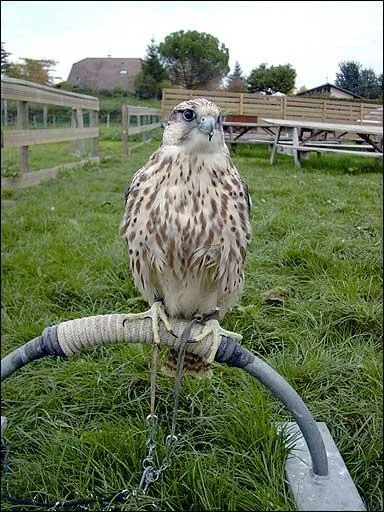 Qu'est-ce que c'est ?