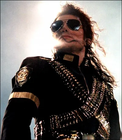 Que pr&eacute;f&egrave;res-tu chez cet artiste ?