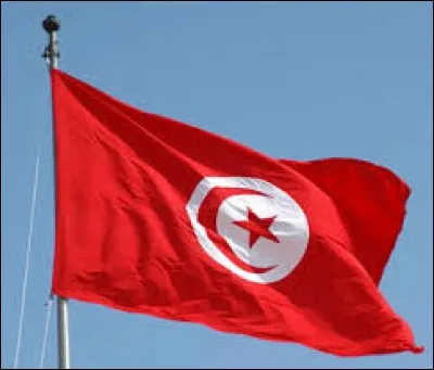 À quel pays correspond ce drapeau ?