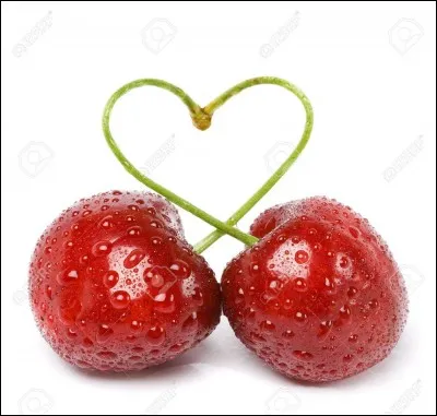 Pourrais-tu me donner la traduction de "Cerise" en italien ?