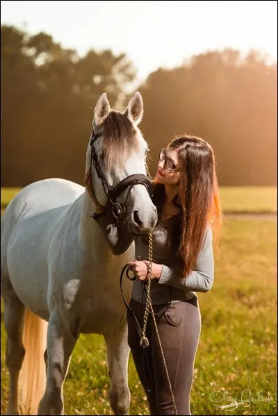Pour vous l'équitation, c'est plutôt :