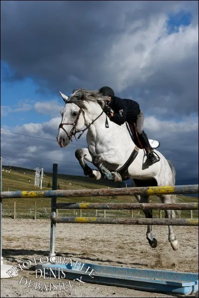 Vous êtes plutôt du genre :