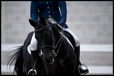 Vous êtes un cavalier :