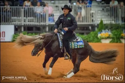 Durant votre weekend vous avez la chance de pouvoir aller à un événement équestre, lequel choisissez-vous ?