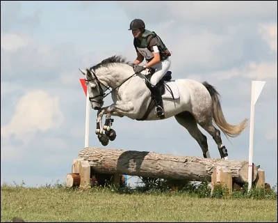 Quelle destination choisiriez-vous pour partir en vacances ?