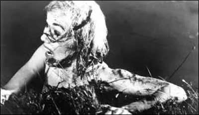 Année : 1963 
Genre : Épouvante-Horreur 
Acteurs : William Campbell (III), Luana Anders
Indices : Irlande/Meurtre/Hache/ Château. 
Quel est ce film ?