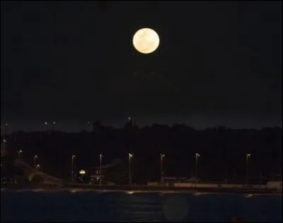 Qui ont été les victimes de la "nuit des longs couteaux" ?