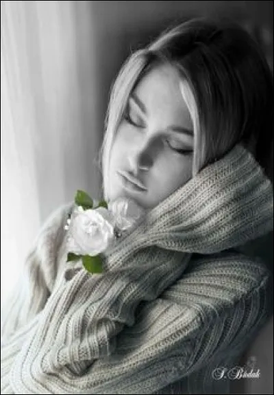 Où Cabrel nous chantait-il qu'il irait dormir ?