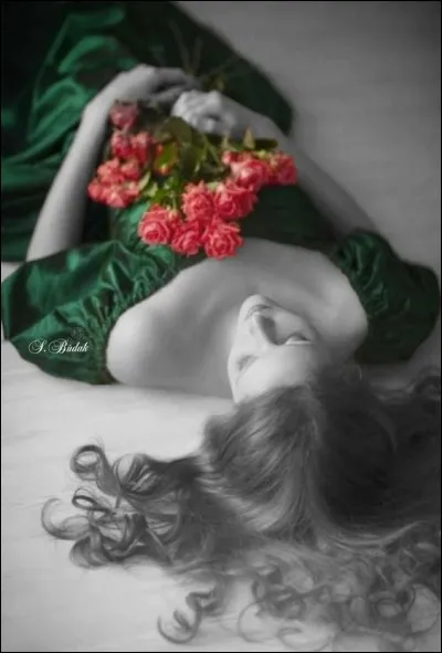 Qui chantait "Elle a bâti des ponts entre moi et le ciel, et nous les traversons à chaque fois qu'elle ne peut pas dormir" ?