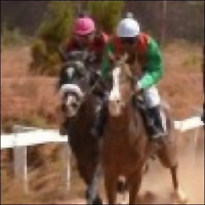 Si je disais que le triple galop était une allure du cheval, que diriez-vous ?