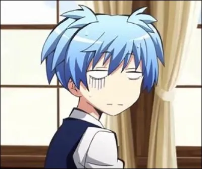 Dans quelle matière Nagisa est-il faible ?