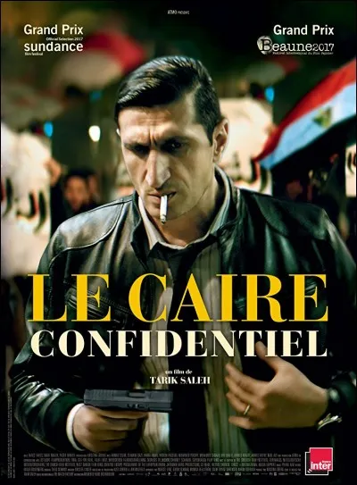 "Le Caire confidentiel" (en VO The Nile Hilton incident) est un film sorti en 2011, se passant dans la capitale égyptienne. De quelle nature est le film ?