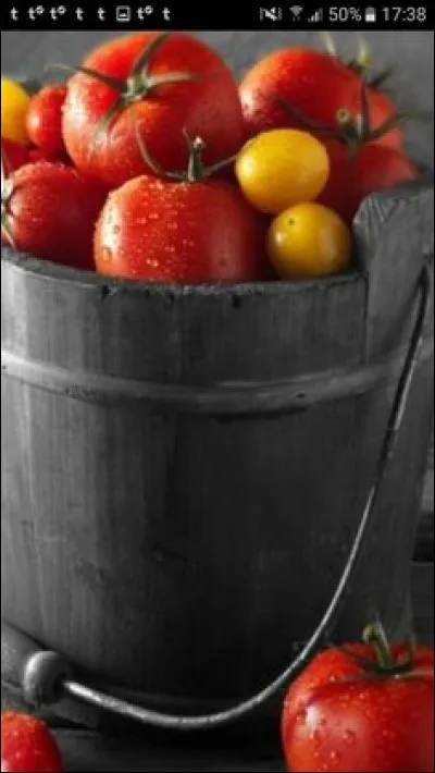Laquelle de ces propositions n'est pas une variété de tomates ?