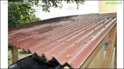 Bande de curé, c'est l'...