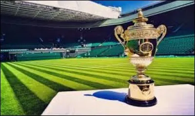 Quel joueur de tennis français n'a jamais gagné le tournoi de Wimbledon ?