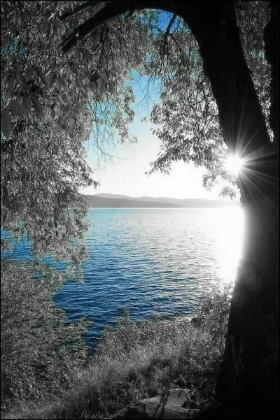 Dans quelle ville de l'ancienne région "Languedoc/Roussillon" l'architecture des immeubles est-elle totalement conçue en forme de pyramides ?