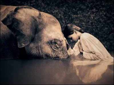 Quel nom donne-t-on à une personne qui conduit et entretient un éléphant domestiqué ?