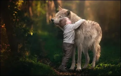 Dans "Le Livre de la jungle", quel est le nom du loup ami et protecteur de Mowgli ?