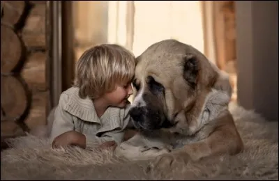 De qui sont ces paroles : "Laisse-moi devenir, l'ombre de ton ombre, l'ombre de ta main, l'ombre de ton chien..." ?